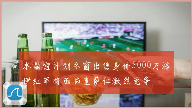 水晶宫计划冬窗出售身价5000万格伊红军将面临皇萨仁激烈竞争